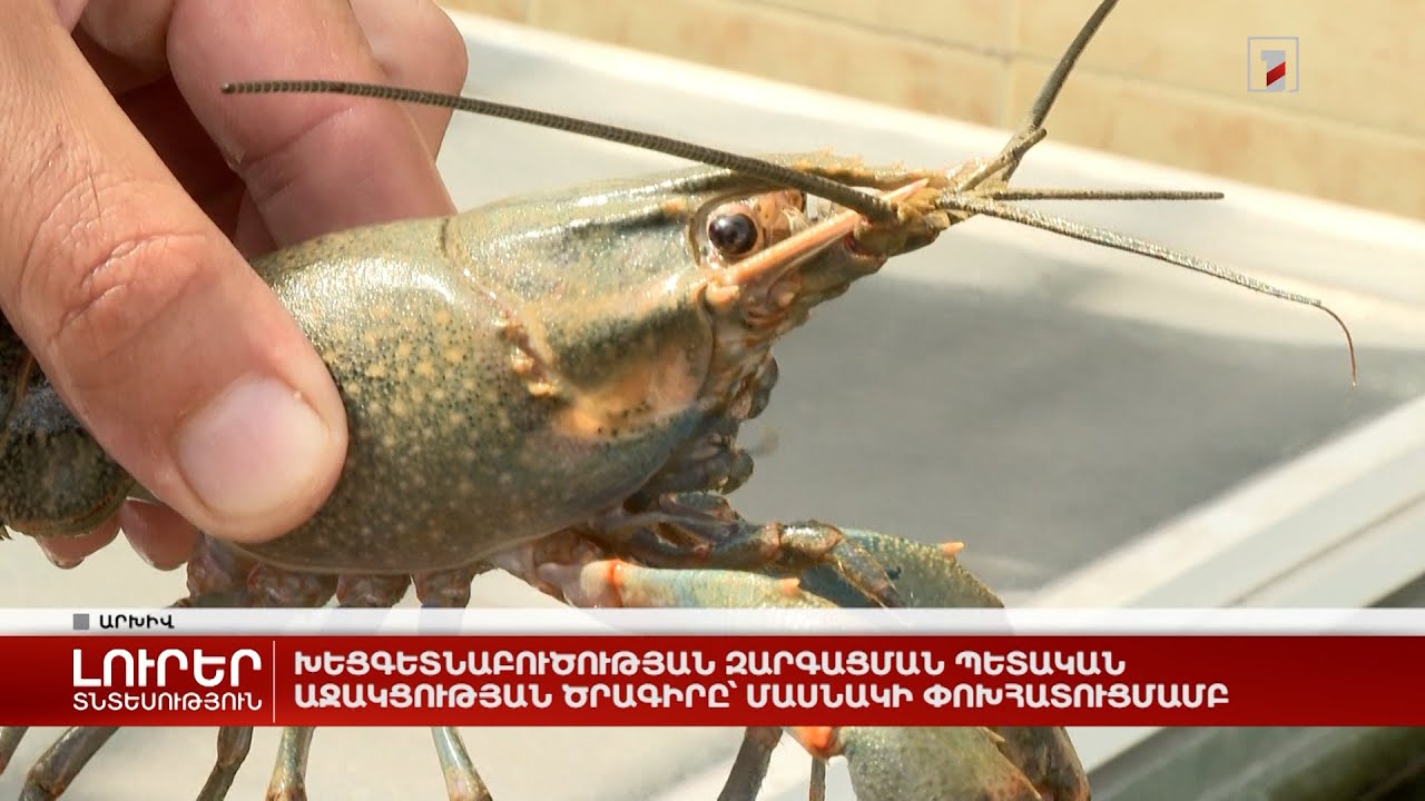 Խեցգետնաբուծության զարգացման պետական աջակցության ծրագիրը՝ մասնակի փոխհատուցմամբ