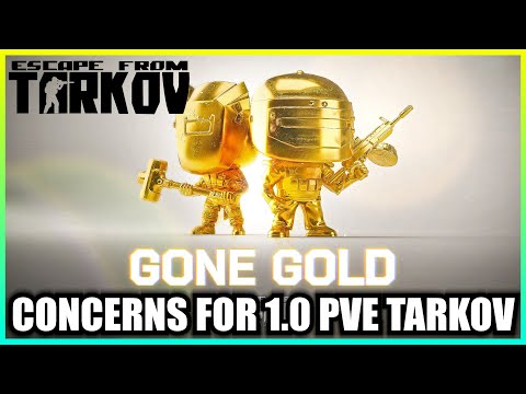 My Concern About 1.0 PVE Tarkov (Even PVP)