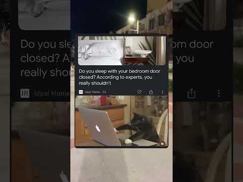 Cats always are pissed about a closed door