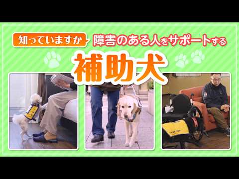 知っていますか？補助犬（中高生向け・普及啓発用）