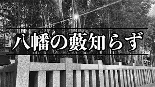 【禁足地】八幡の藪知らずは本当に危険な場所なのか