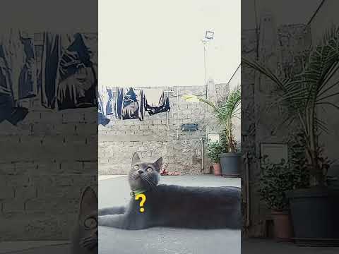 a barbie ta estranha