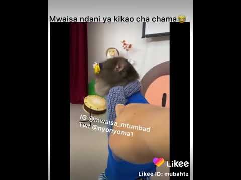 Mwaisa nyonyoma mtu mbadi conference