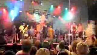 BUMBLEBEEZ - DR LOVE LIVE AT SPLENDOUR IN THE GRASS 2007