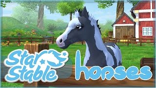 Raising Our New Foal!! • Star Stable Horses App!