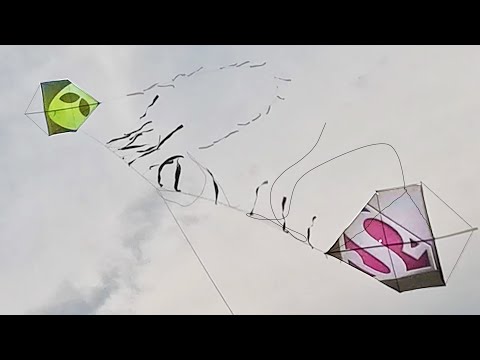 Cortando na Largada e Aparando as Pipas do Vasquinho!!! 🔥