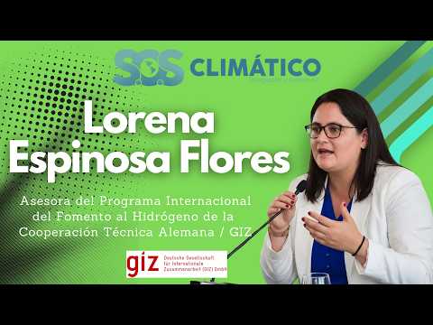 Lorena Espinosa Flores   GIZ