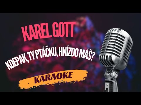 Karaoke - Karel Gott - 