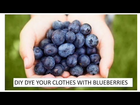 download lagu mp3 mp4 How To Dye With Blueberries, download lagu How To Dye With Blueberries gratis, unduh video klip How To Dye With Blueberries
