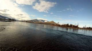 preview picture of video 'fly fishing Flathead River'
