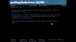 (E)JES YouTube Video