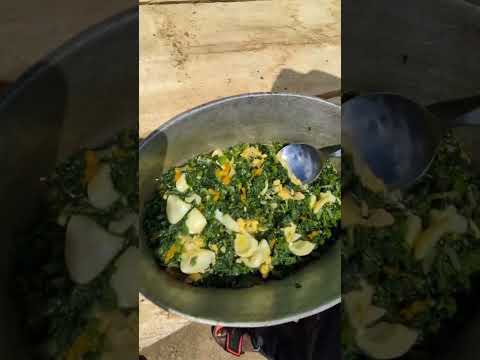 Cooked Young Pumpkin Vine Taste Like Callaloo Have You Ever Tried It?