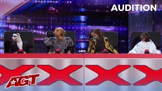 Canine Stars: HILARIOUS DOGS Replace The AGT Judges on America's Got Talent!