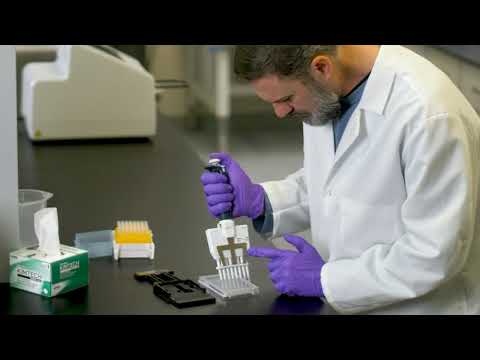 Epoch 2 Microplate Spectrophotometer