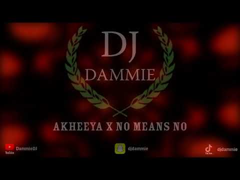AKHEEYA X NO MEANS NO | BASSLINE REMIX | 5RB | NEW PUNJABI REMIX | 2025 BASSLINE BHANGRA
