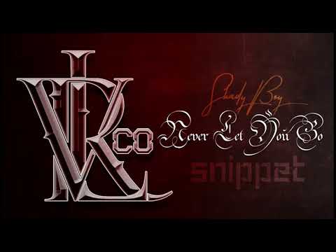 Lil Shady Boy - Never Let You Go feat. Leo Galvan (Unreleased Snippet)
