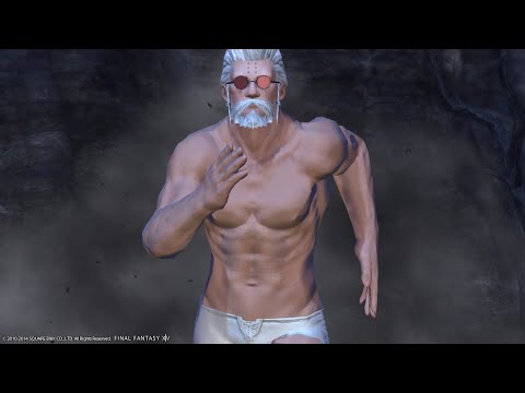 FFXIV Hildebrand meets Daddy