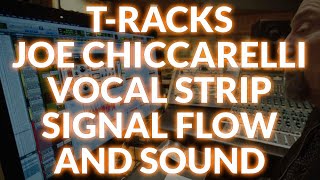Video thumbnail for IK Multimedia T-RackS Joe Chiccarelli Vocal Strip Signal Flow & Sound by Production Expert