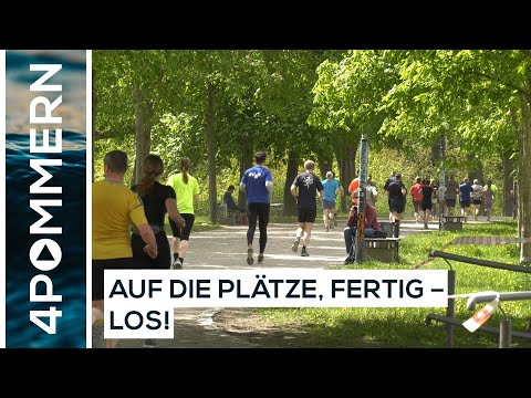 15. Greifswalder Citylauf - organisiert von der HSG Uni Greifswald | Greifswald TV