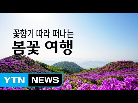 꽃피는 3,4,5월, 따뜻한 봄바람과 함께 떠나는 여행지 추천