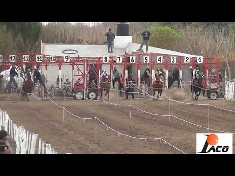 SUYAI  HIPODROMO EL DESCUIDO EL BRETE 07 08 2022