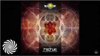 Tectum - Deep Dive Into the Mind