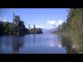Relaxing New Zealand Birdsong - Kotuku Awa
