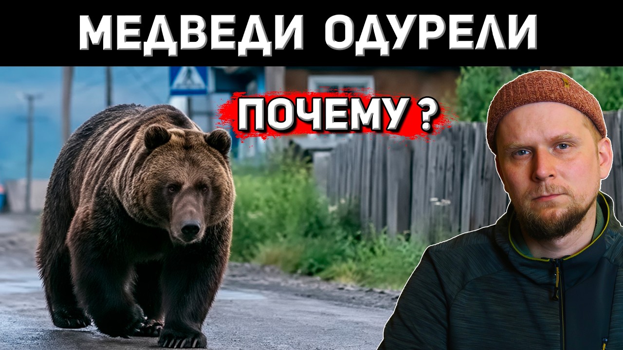 МЕДВЕДИ ВЫХОДЯТ К ЛЮДЯМ! ПОЧЕМУ? 2026