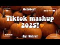 TikTok Mashup 2025