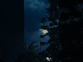 Heeriye Song Aesthetic Whatsapp Status Love Share Short Lovestatus Music