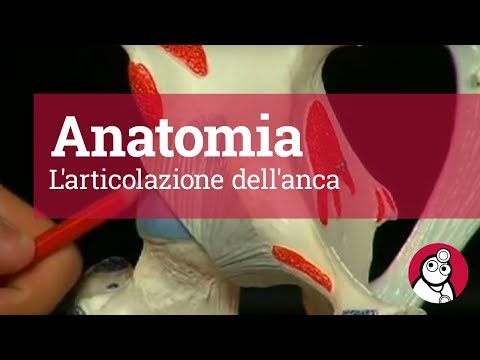Ritardare le mestruazioni e dolore scarico bianco nelladdome e parte bassa della schiena Sanatorії in ukraїnі de lіkuyut osteocondrosi