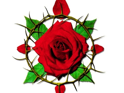 Abhor What is Evil, Cling to What is Good (Gary Hendrix on Romans 12:9)