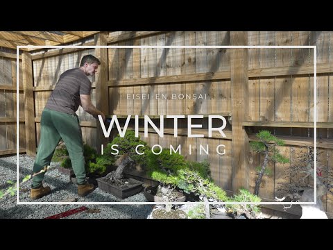 Winter is Coming at Eisei-en Bonsai Garden