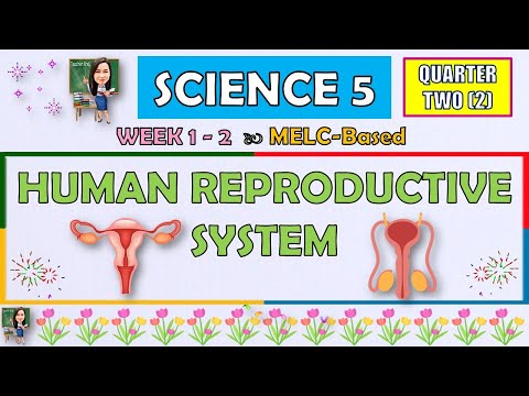 SCIENCE 5 || QUARTER 2 WEEK 1 - 2 | HUMAN REPRODUCTIVE SYSTEM | MELC-BASED