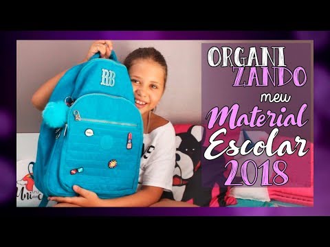 ORGANIZANDO MEU MATERIAL ESCOLAR 2018 - Luiza Vinco