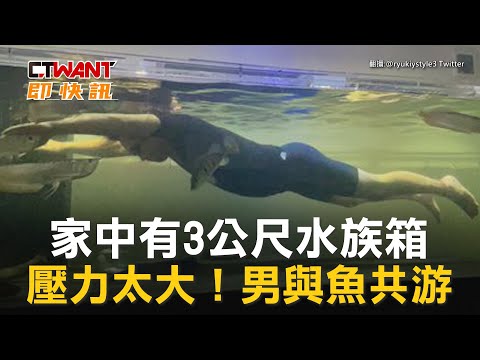 養魚箱
