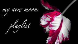 my new moon soundtrack: 02- it doesn't hurt katie thompson