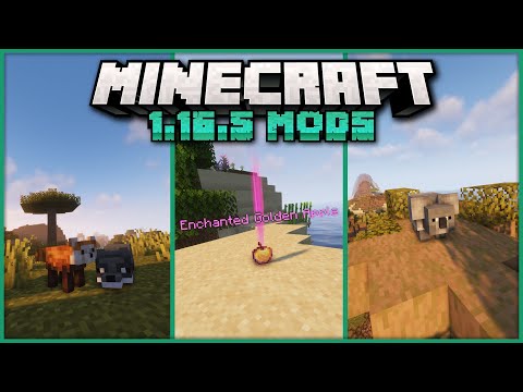 Top 25 Minecraft 1.16.5 Forge Mods of the Month [August 2021]