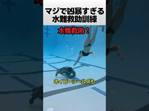 マジで凶暴すぎる水難救助訓練