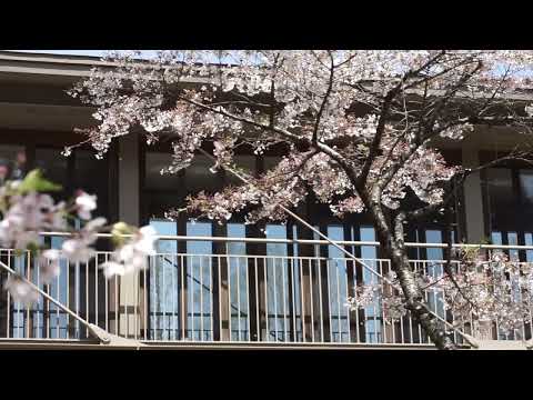 【国際教養大学】キャンパス風景 2023春
