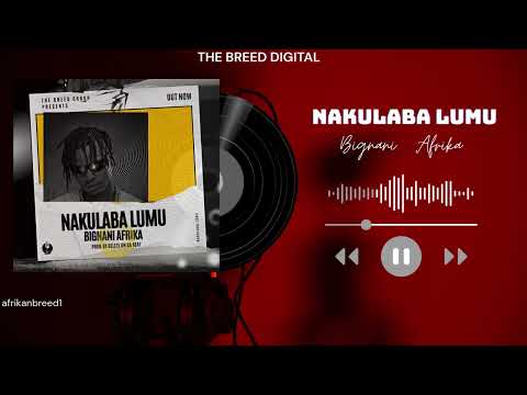 Bignani Afrika - Nakulaba Lumu (Official Visualiser)