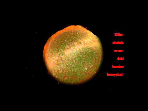 Lastovo 2010  Movie 1 - V70.0 1080p turk