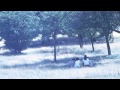 Oren Ambarchi - Snork [Audio]