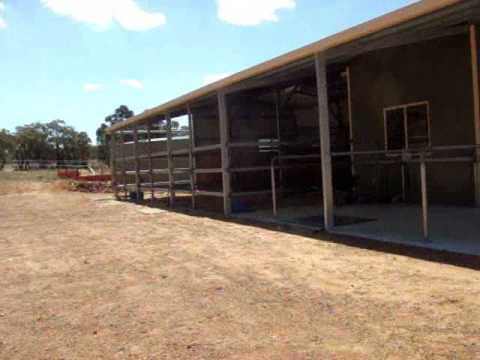 Herr Turtur auf Reisen - Teil 1