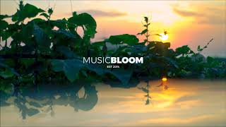 Kidnap - Skin (Rinzen Remix)