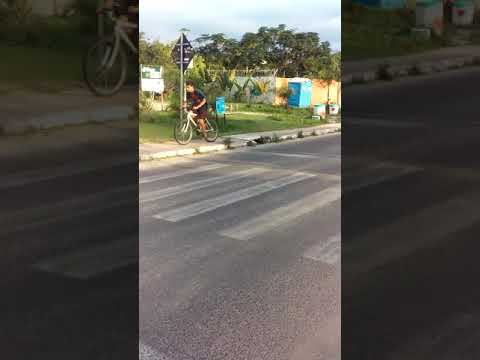 The Golda Guest House