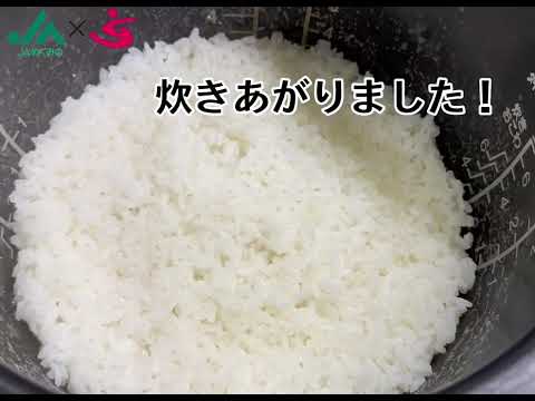 お米（食べ比べ）｜JAめぐみの×美・デザイン＆医療事務コース　産学連携授業作成動画｜中部学院大学・中部学院大学短期大学部