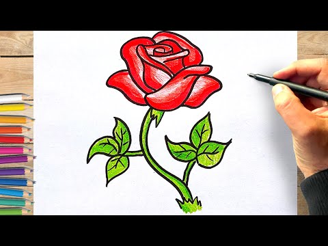 Tuto comment dessiner une rose rouge facilement pour débutant