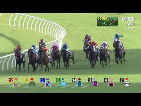 4/7/2021 (806) Beauty Fit - J Moreira