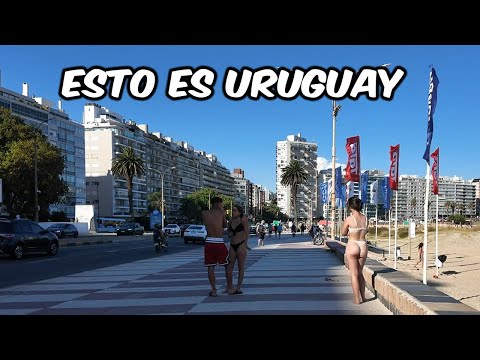 🇺🇾 Rambla de POCITOS en un día perfecto | MONTEVIDEO
